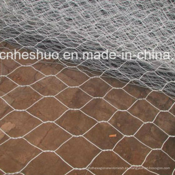 Venta directa de fábrica Gabions / Gabion Cestas en venta